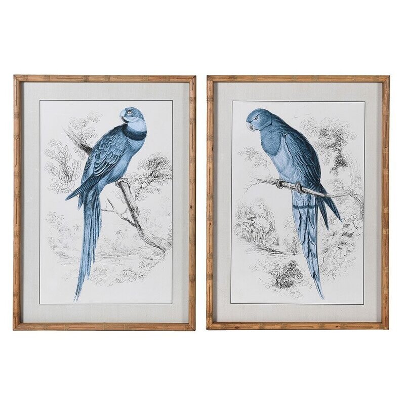 Blue Parrot Picture (individually priced)