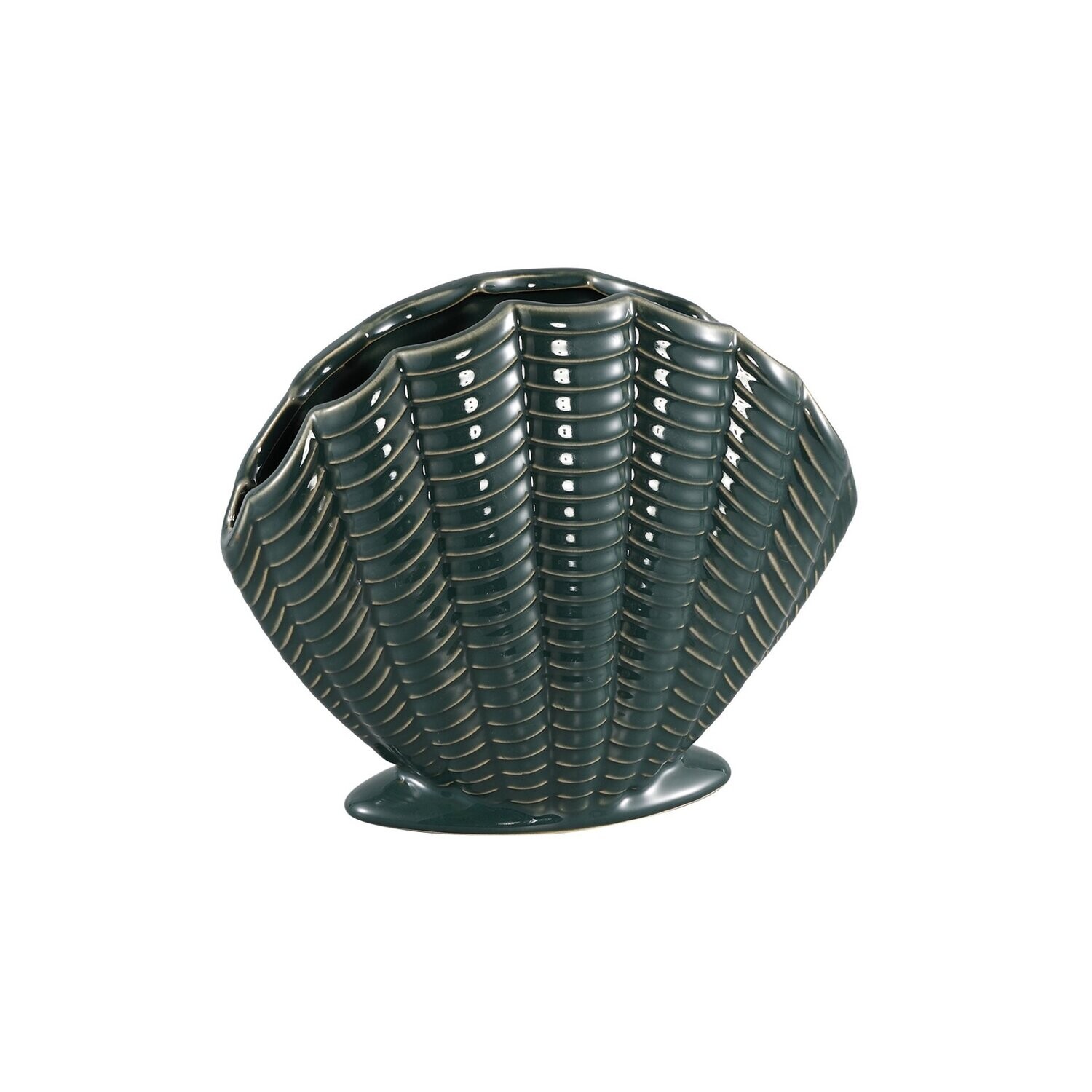 Shell Vase