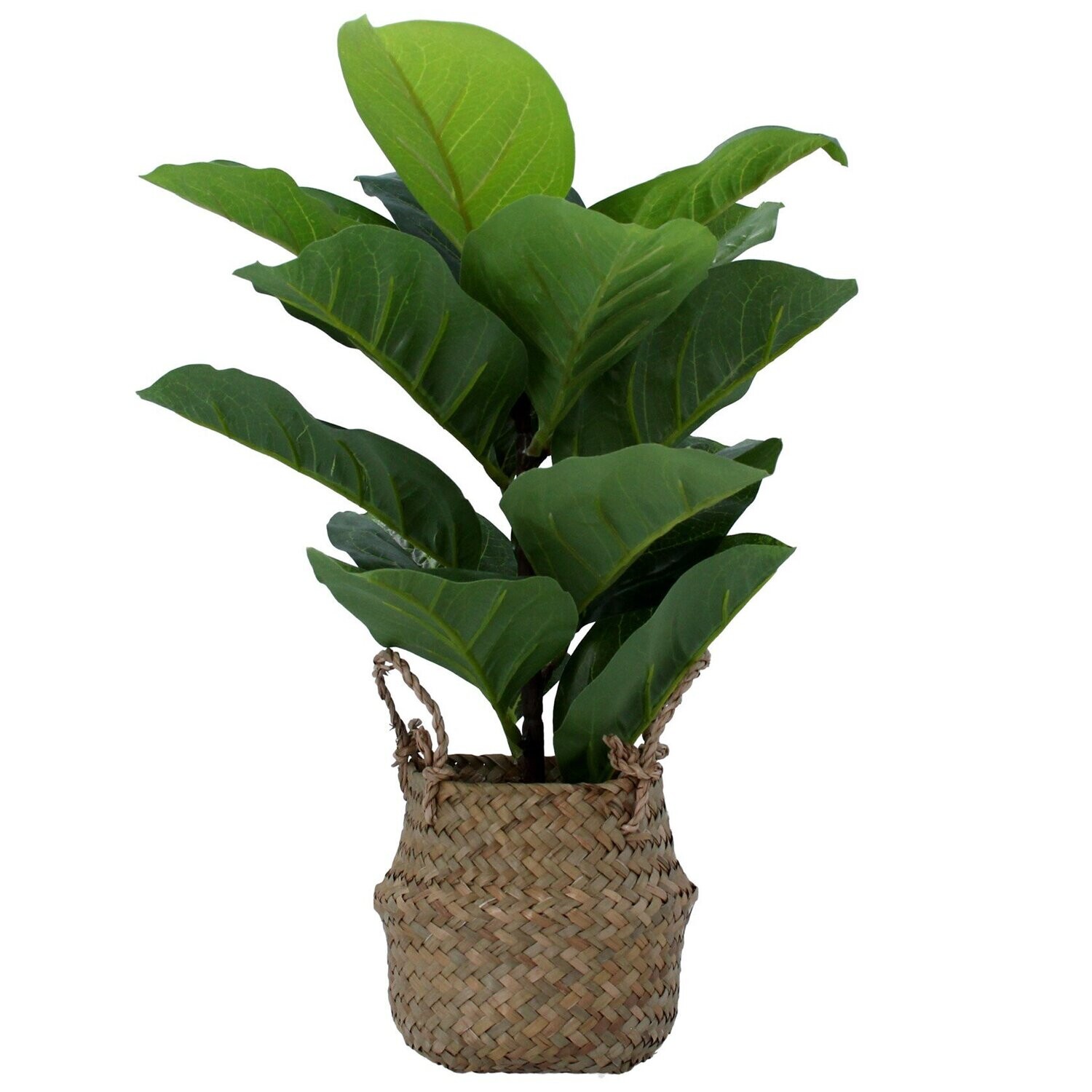 Faux Fig in Rattan Basket