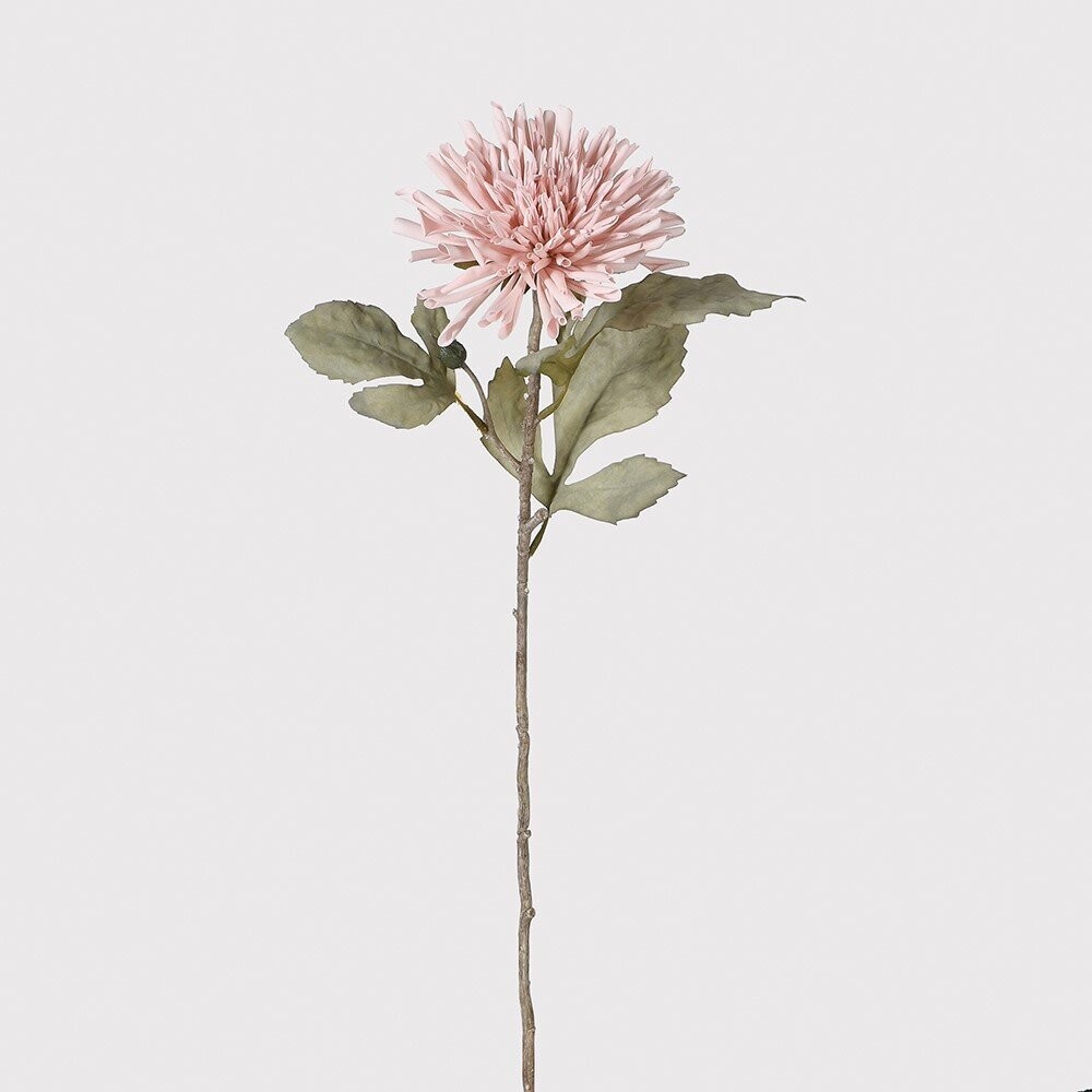 Dahlia Spray with Leaves