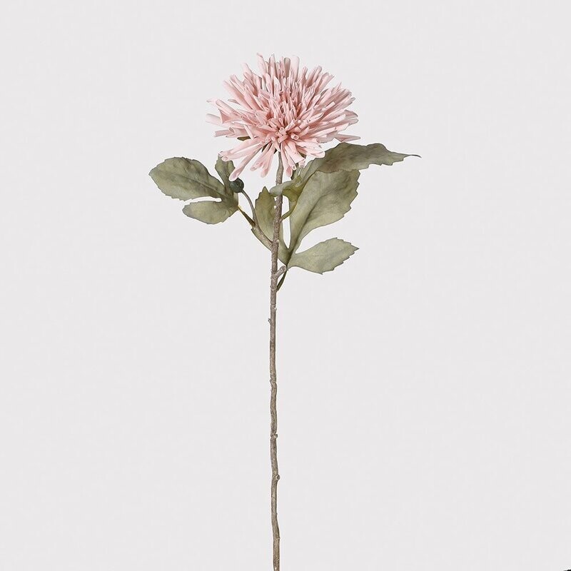 Dahlia Spray with Leaves