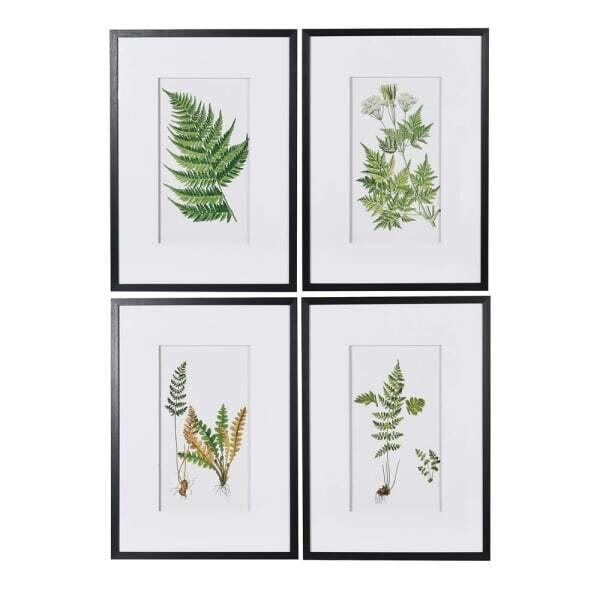 Fern Picture (individually priced)