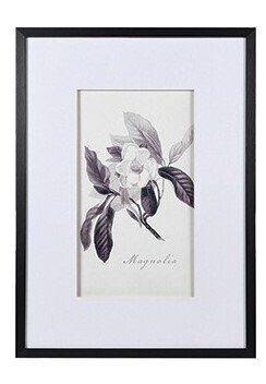 Monochrome Botanical Picture