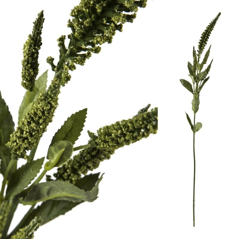 Veronica Stem
