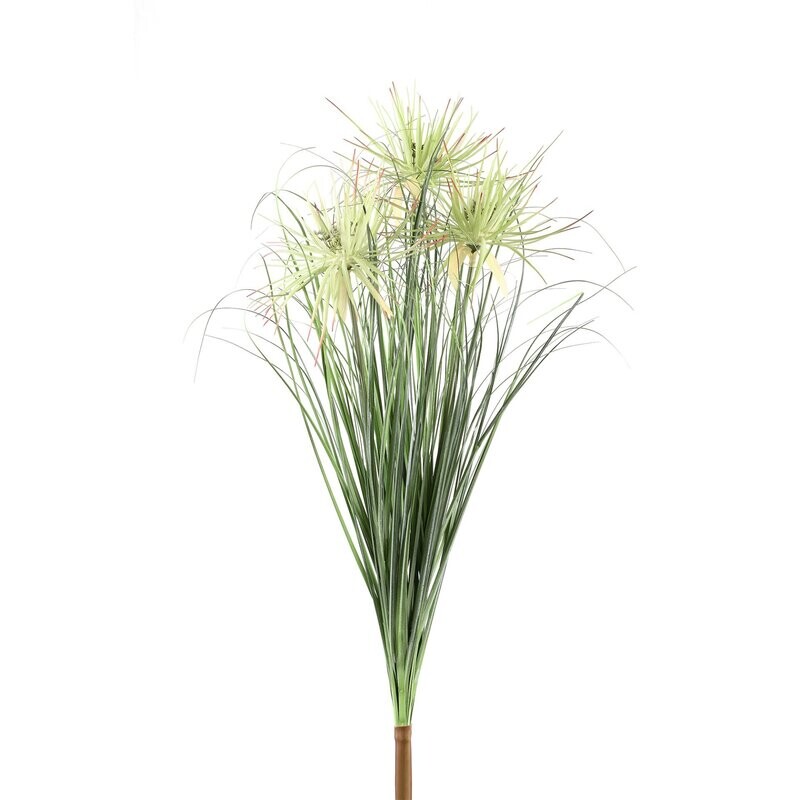 Onion Grass with Papyrus Bush