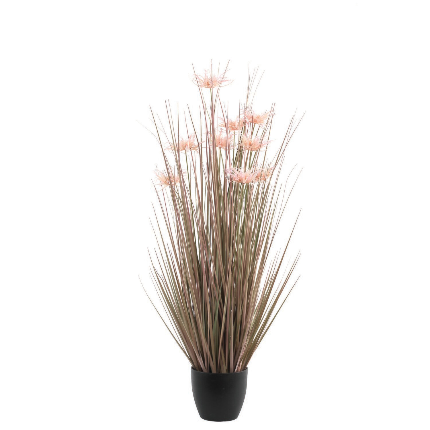 Pink Grass in Pot