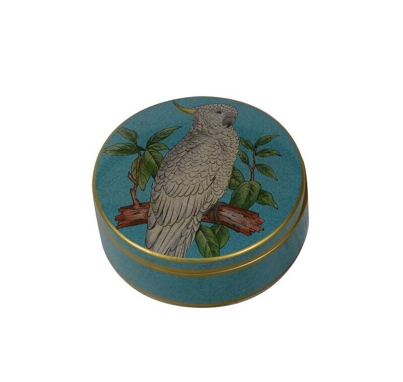 Cockatoo Box
