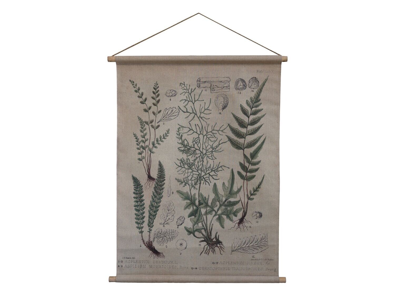 Floral Wall Hanging