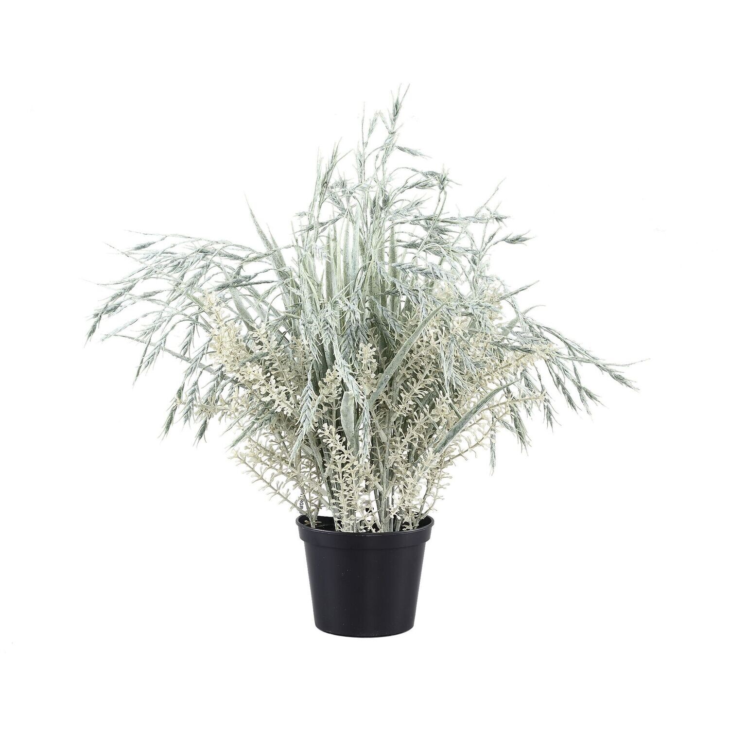Wheat Spray in Pot