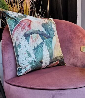 Cushions
