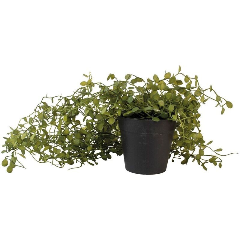 String of Nickels Plant