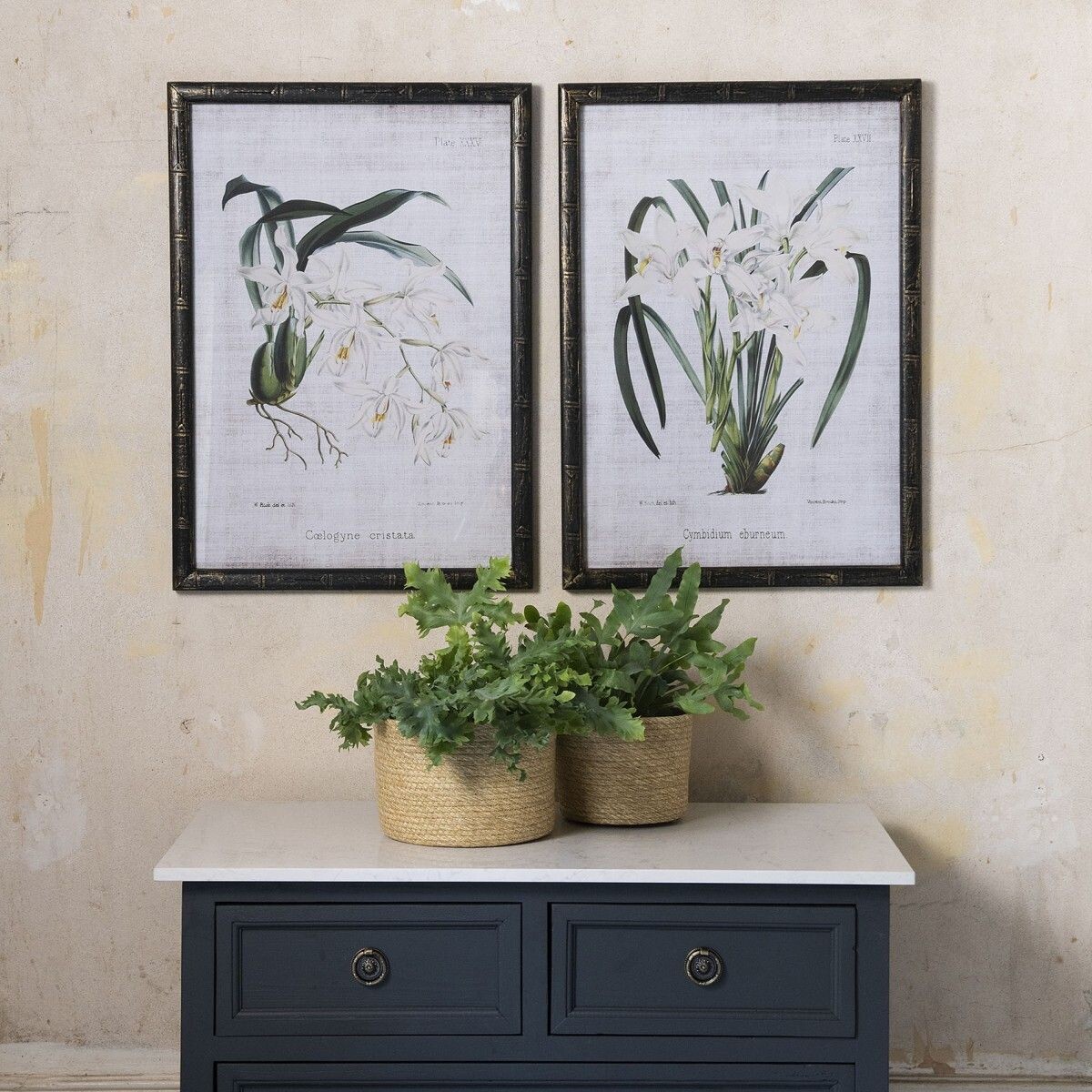 Orchid Wall Art (individually priced)