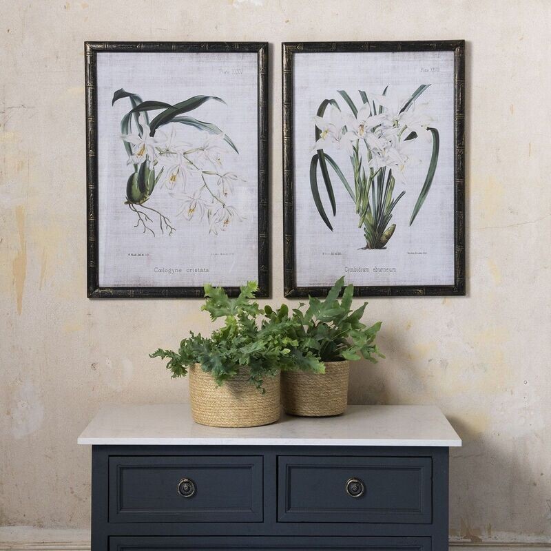 Orchid Wall Art (individually priced)