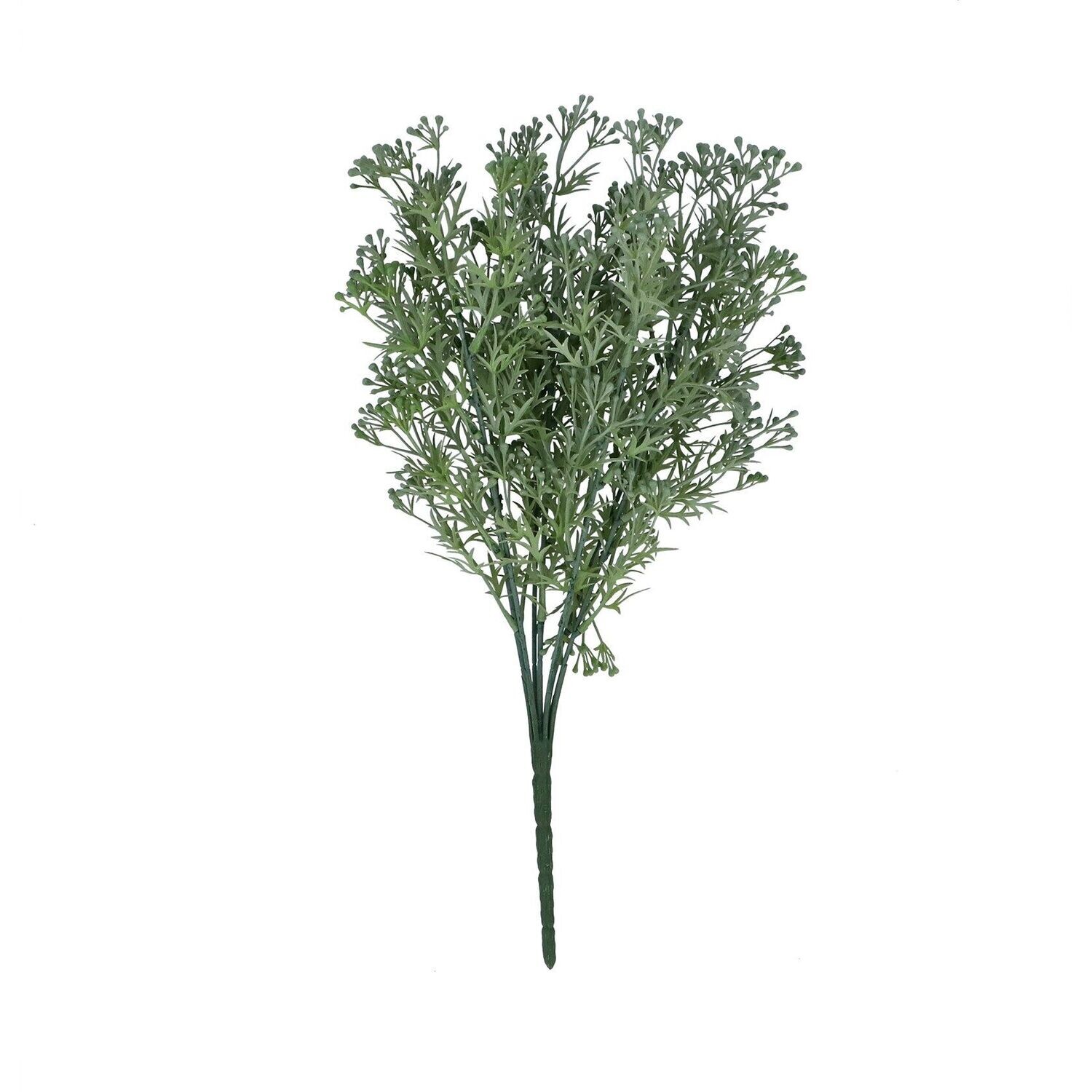Faux Seed Dill