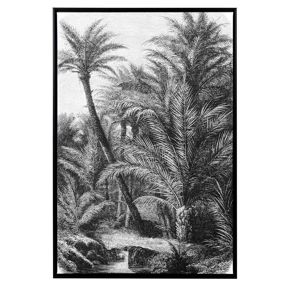 Black and White Palm Trees Picture