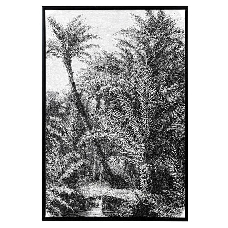 Black and White Palm Trees Picture