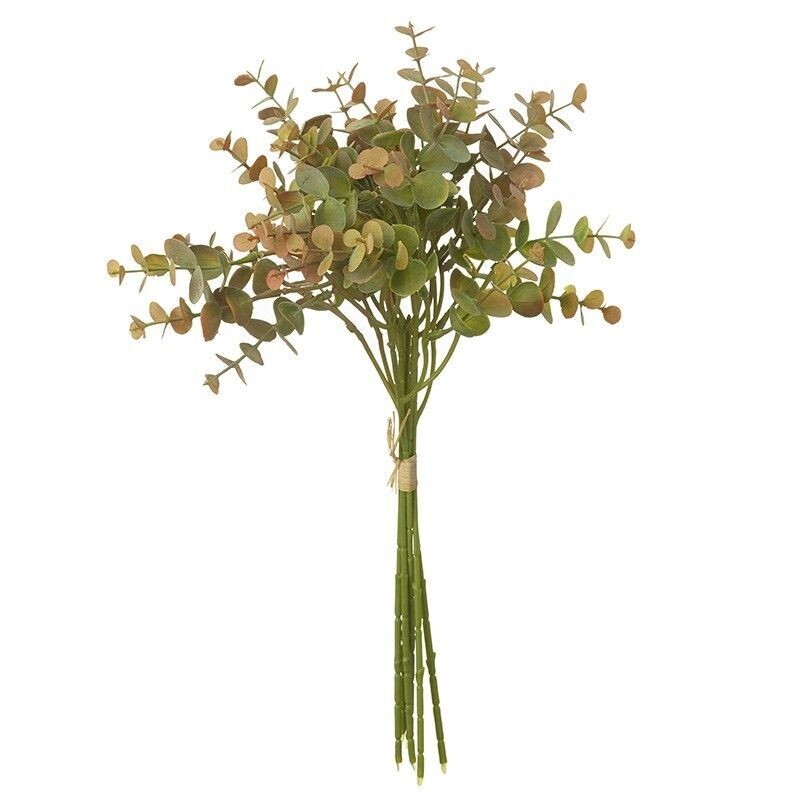 Eucalyptus Leafy Greenery Branches