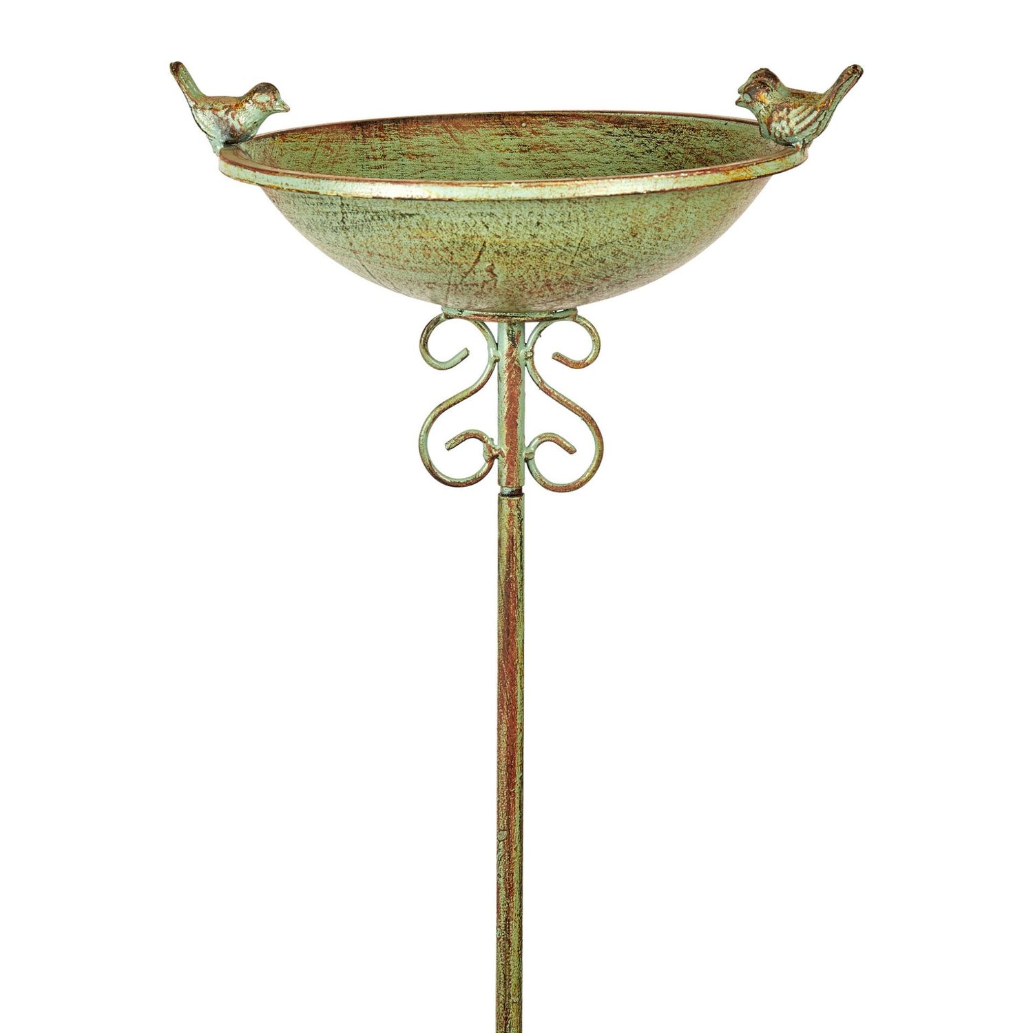 Bird Bath on Spike