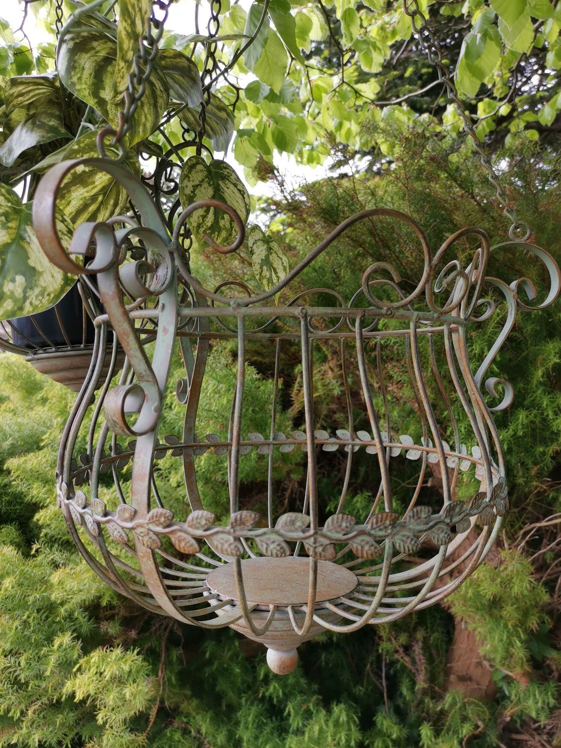 Hanging Basket (individually priced)