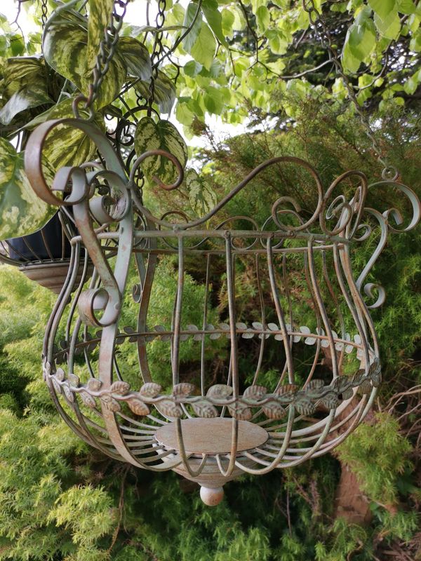 Hanging Basket (individually priced)