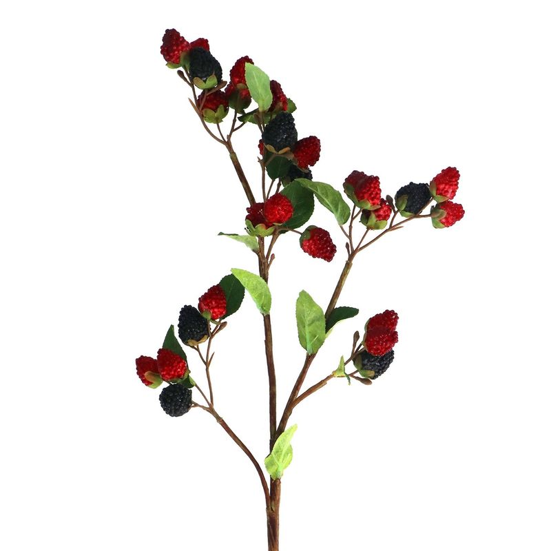 Raspberry/Blackberry Stem