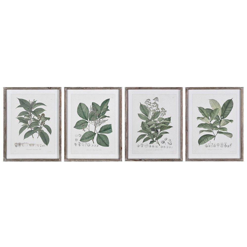 Perennial Herbs Wall Art (individually priced)