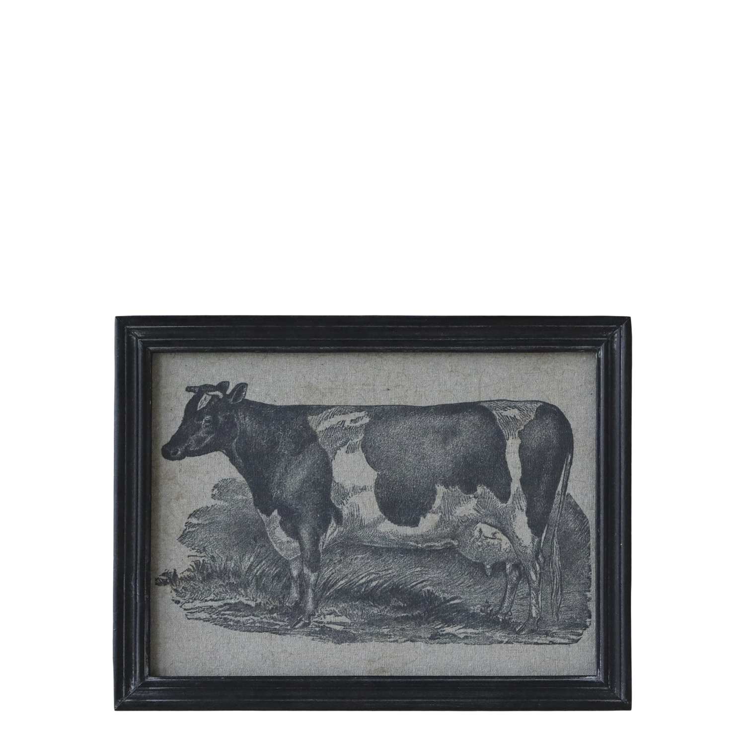 Cow Picture