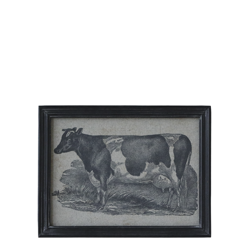 Cow Picture