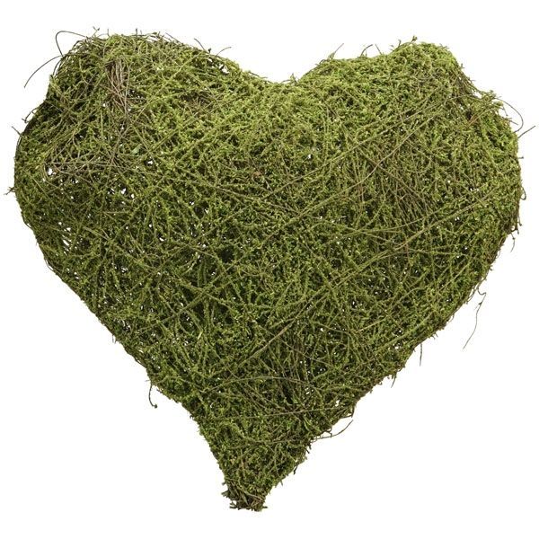 Moss Hanging Heart