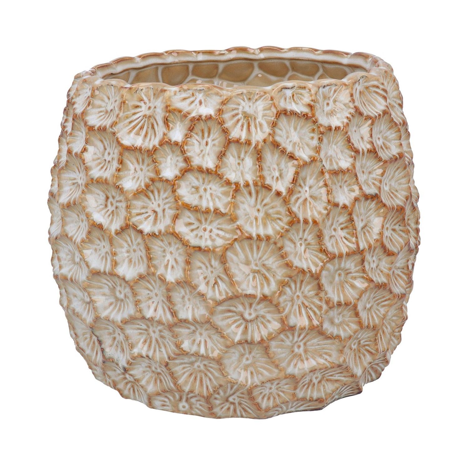 Moon Plant Pot