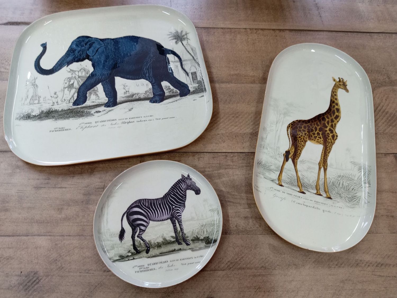 Safari Mini Trays/Coasters
