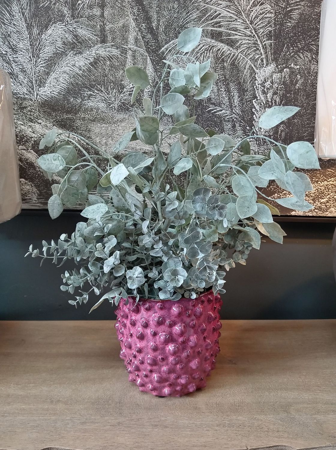 Marel Ceramic Pot + Silver Eucalyptus Plant