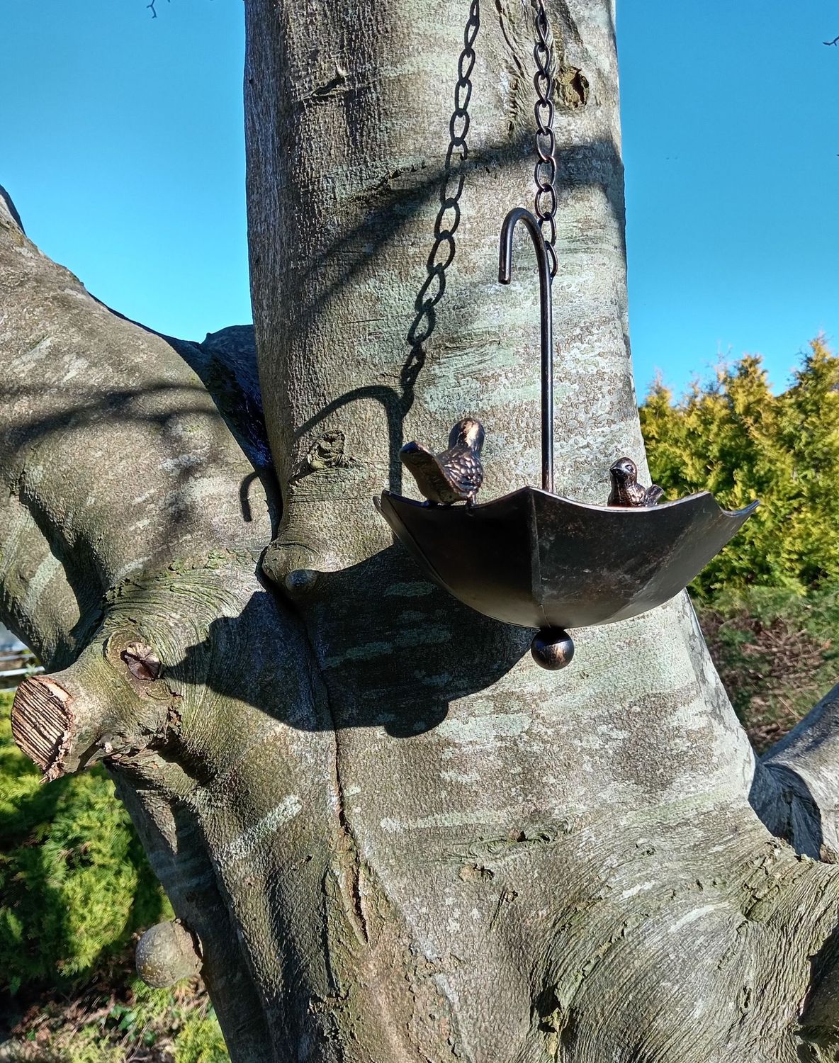 Umbrella Feeder