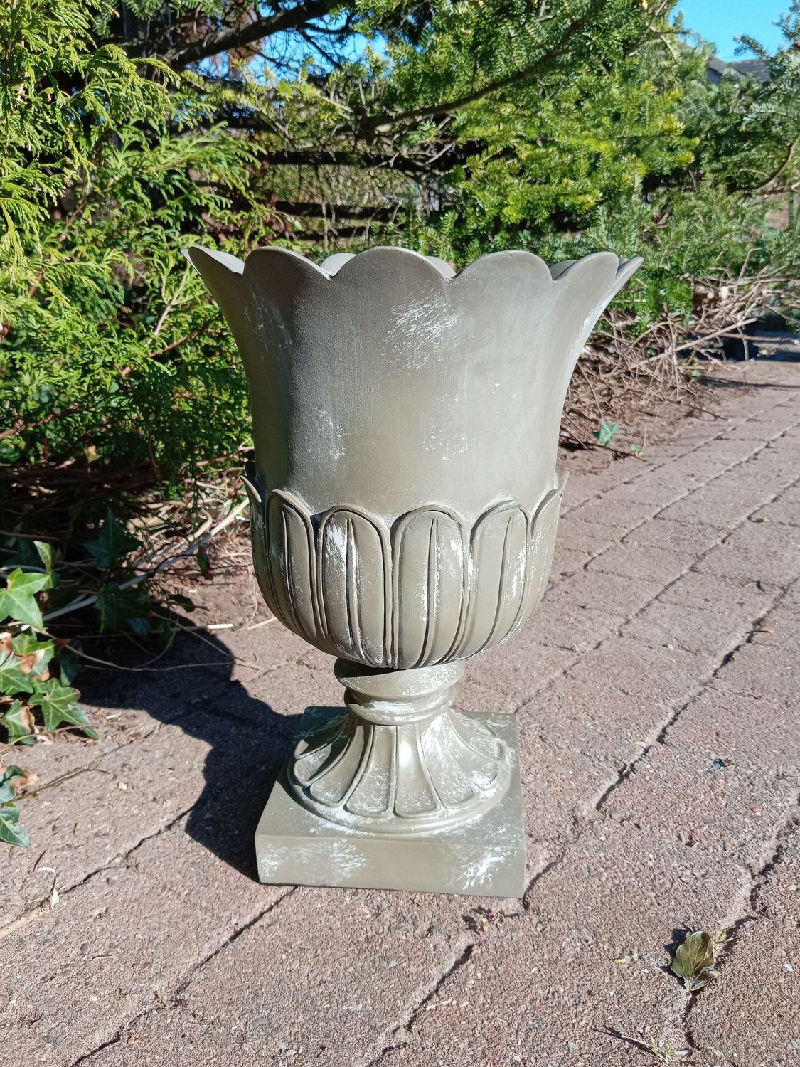 Taro Planter