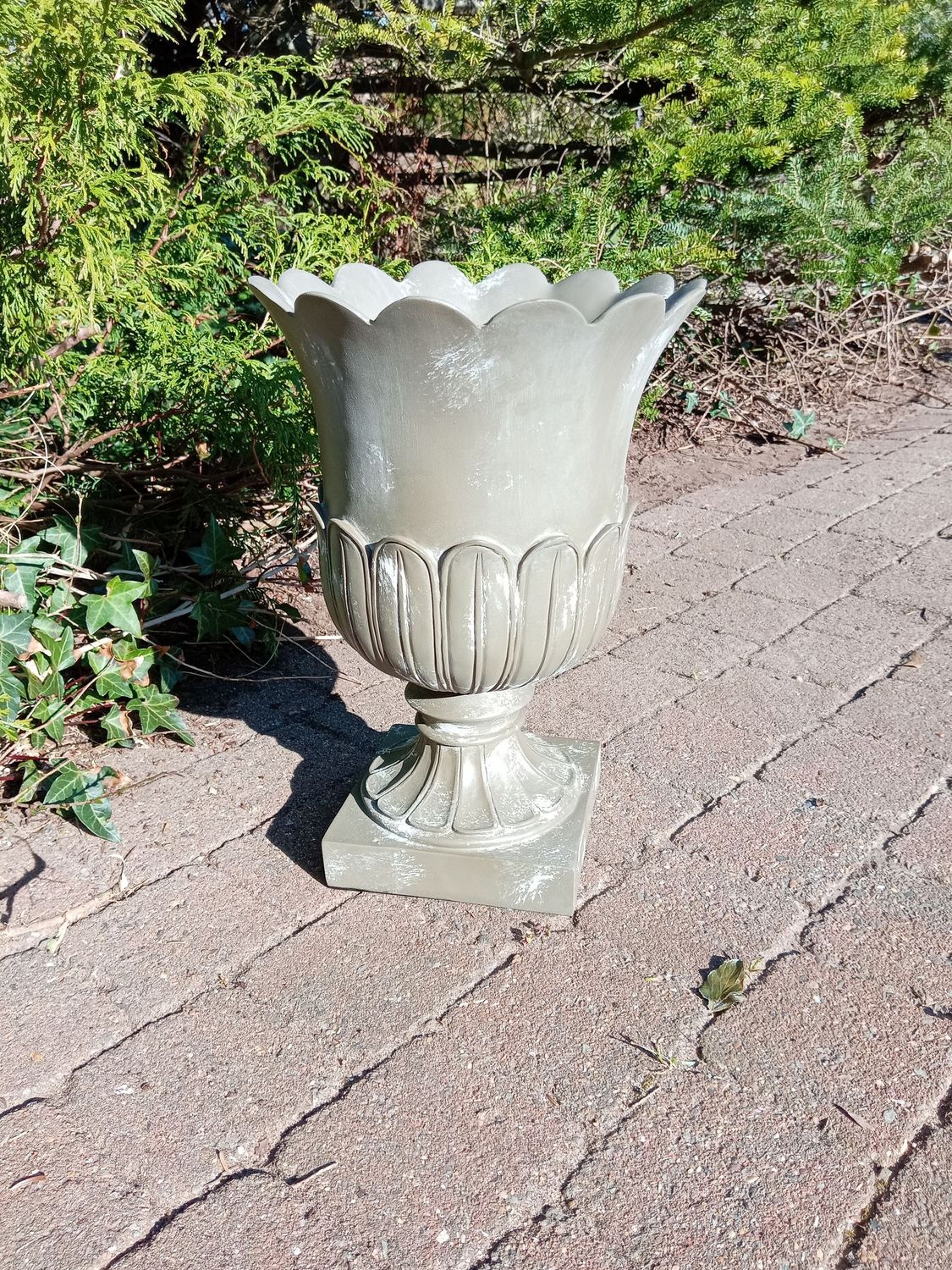 Taro Planter