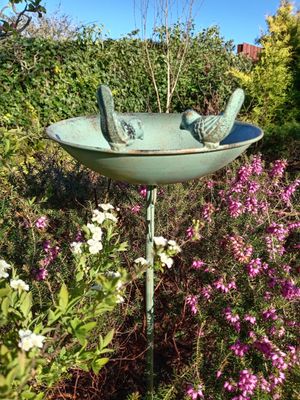 Bird Baths and Bird Feeders
