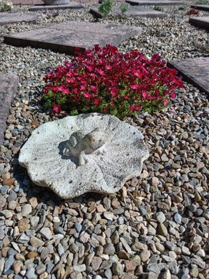 Garden Ornaments