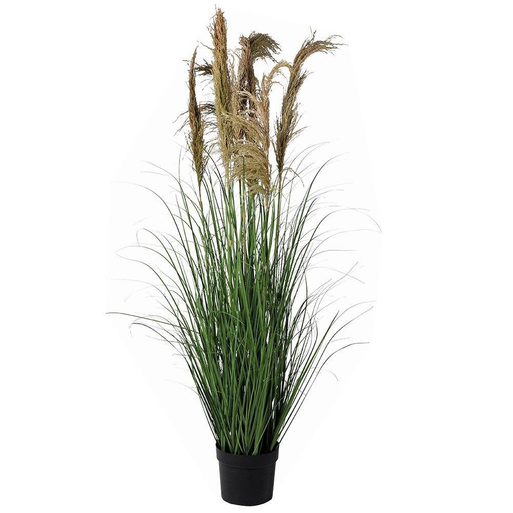 Tall Real and Faux Pampas Grass in Black Plastic Pot