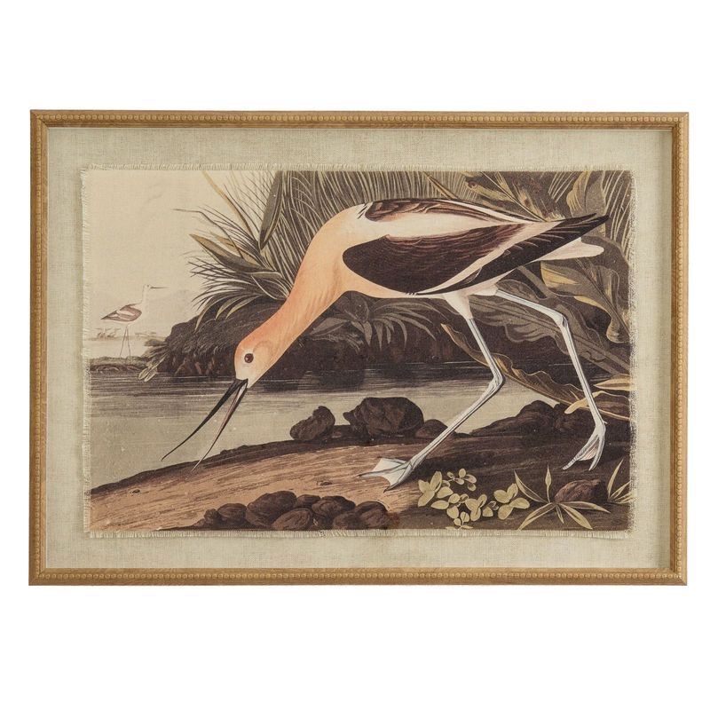 Avocet on Linen