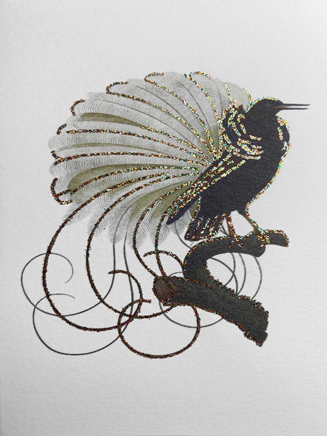 Bird Blank Card