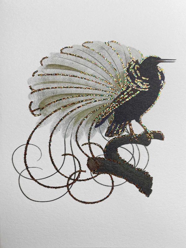 Bird Blank Card