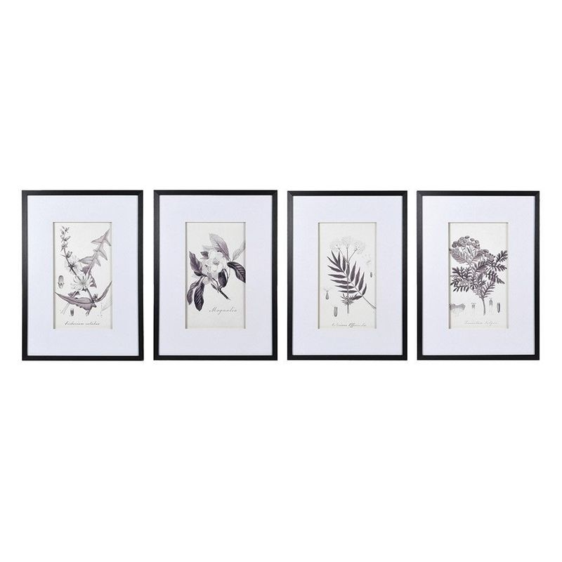 Monochrome Botanical Picture (individually priced)
