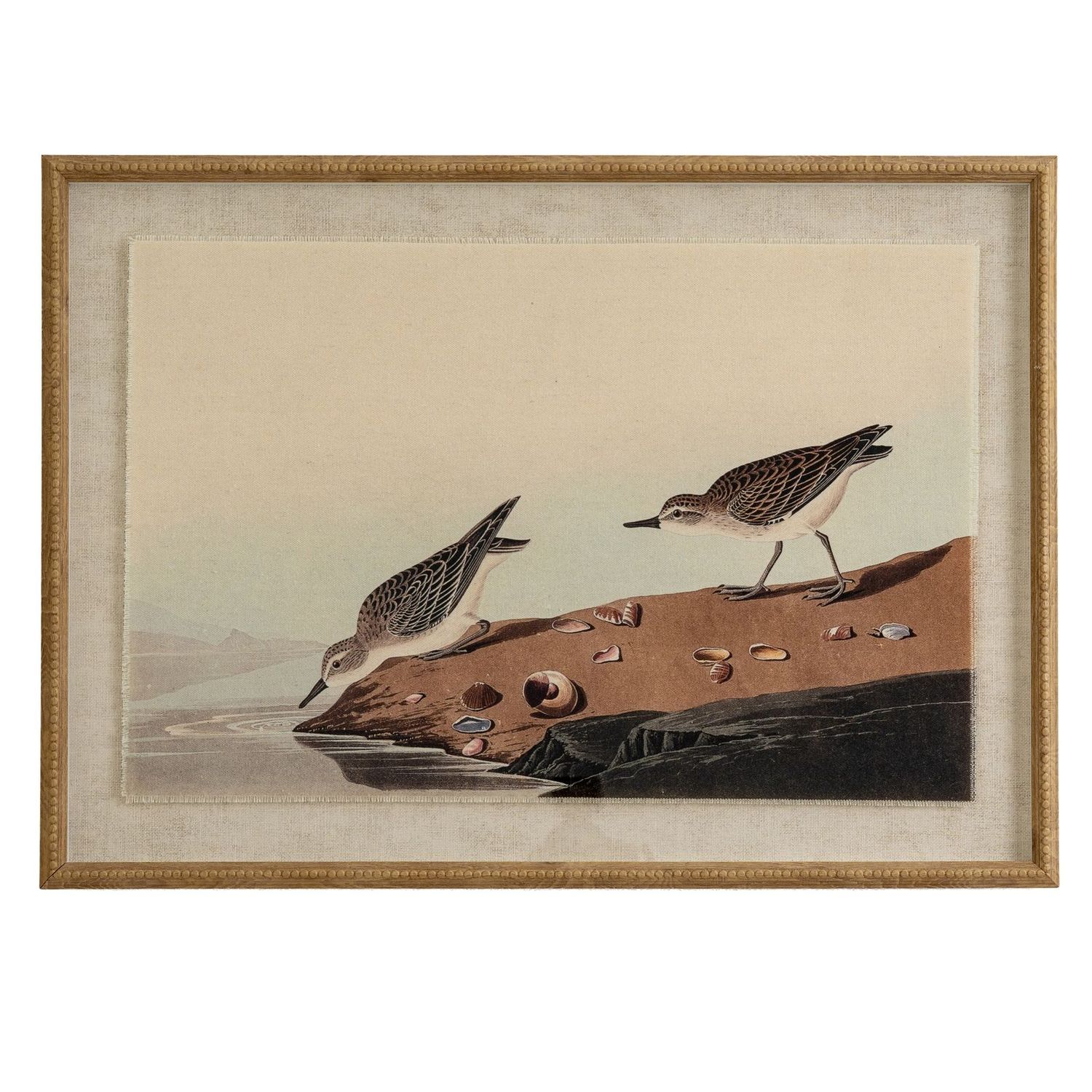 Pochards on Linen