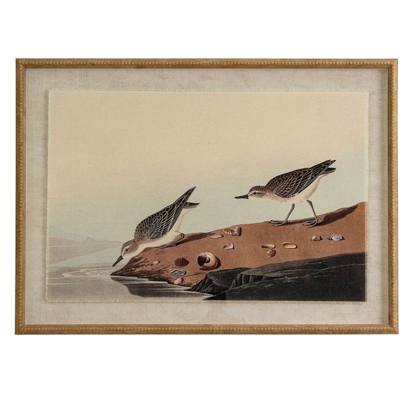Pochards on Linen