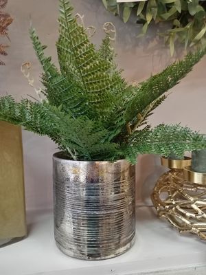Potted Plants and Flowers