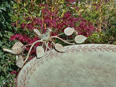 Bird Baths and Bird Feeders