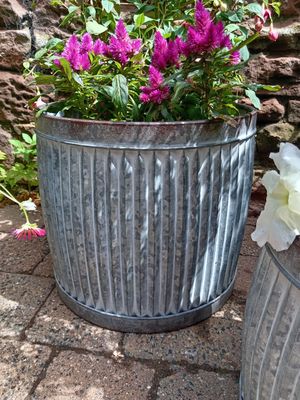 Pots and Planters