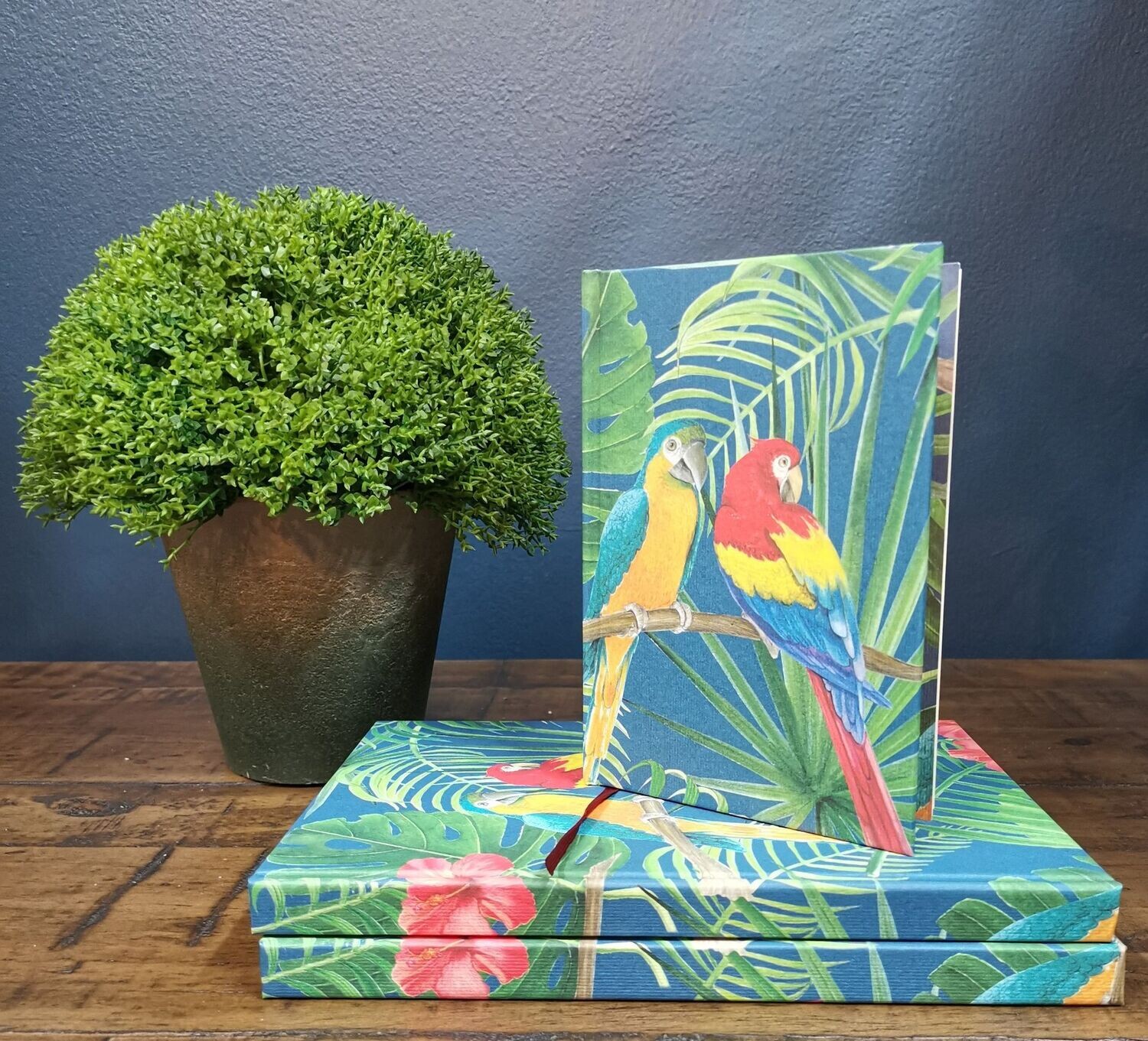 Hard Cover Blank Notebook A6: Parrots