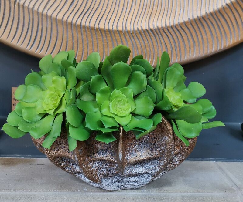 Succulents + Gold Bowl Arrangement