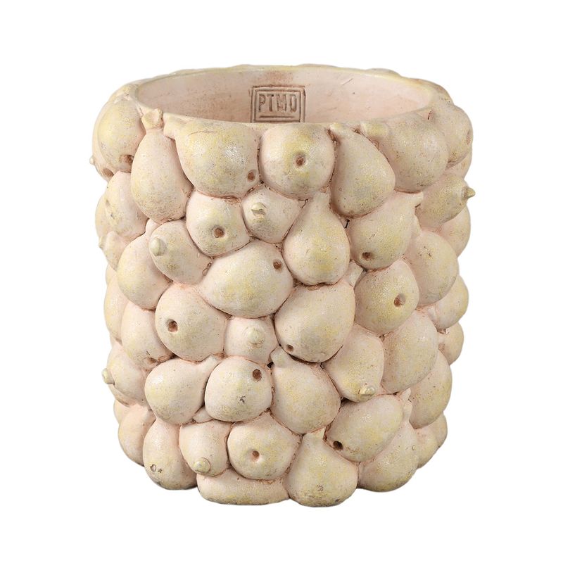 Pears Cement Pot